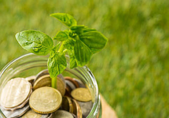 Plant growing in coins glass jar for money against green grass. Saving and investment financial concept